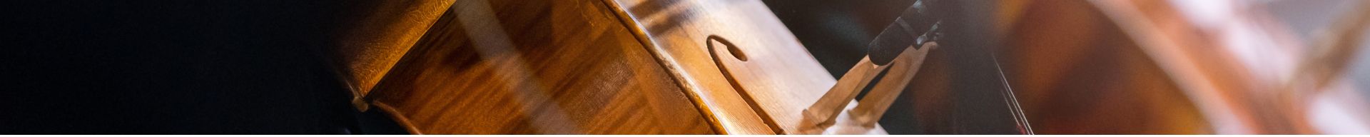 COMPONENTI E MANUTENZIONE VIOLONCELLO COMPONENTI E MANUTENZIONE VIOLONCELLO