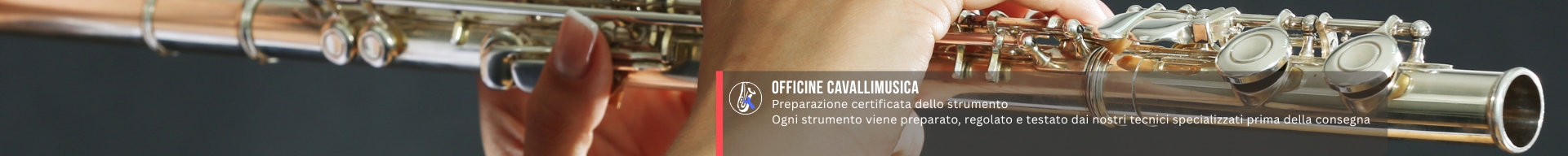 CUSTODIE FLAUTO TRAVERSO E OTTAVINO