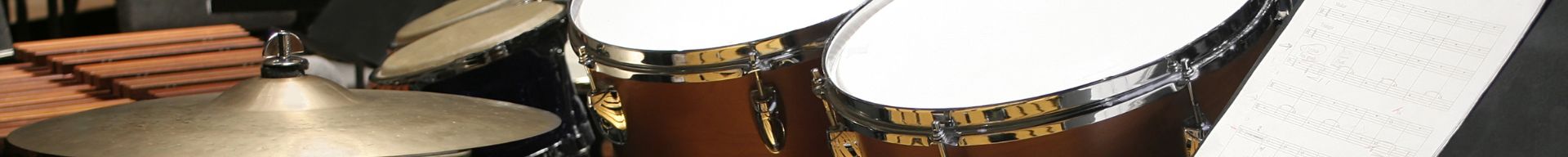 RICAMBI PERCUSSIONI CLASSICHE RICAMBI PERCUSSIONI CLASSICHE