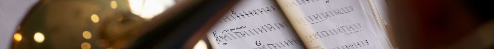 METODI FLICORNO METODI FLICORNO