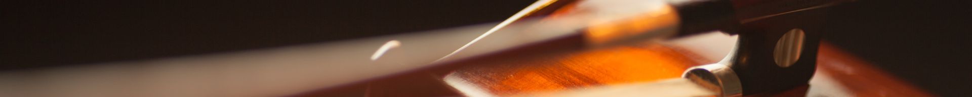 ARCHETTI VIOLINO ARCHETTI VIOLINO