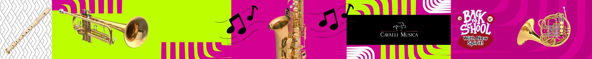 STRUMENTI A FIATO BACK TO SCHOOL STRUMENTI A FIATO BACK TO SCHOOL