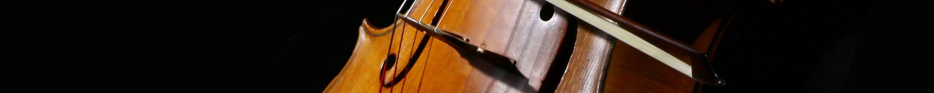 VIOLONCELLI VIOLONCELLI