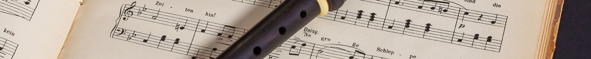 FLAUTI DOLCI, MELODICHE E ALTRI FLAUTI FLAUTI DOLCI, MELODICHE E ALTRI FLAUTI