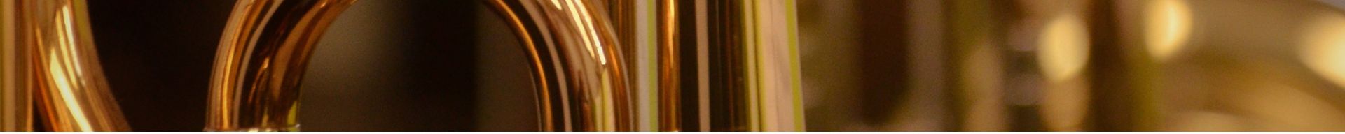 ACCESSORI TROMBONE ACCESSORI TROMBONE