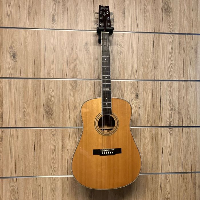 CHITARRA ACUSTICA WASHBURN D24SI USATO main product photo