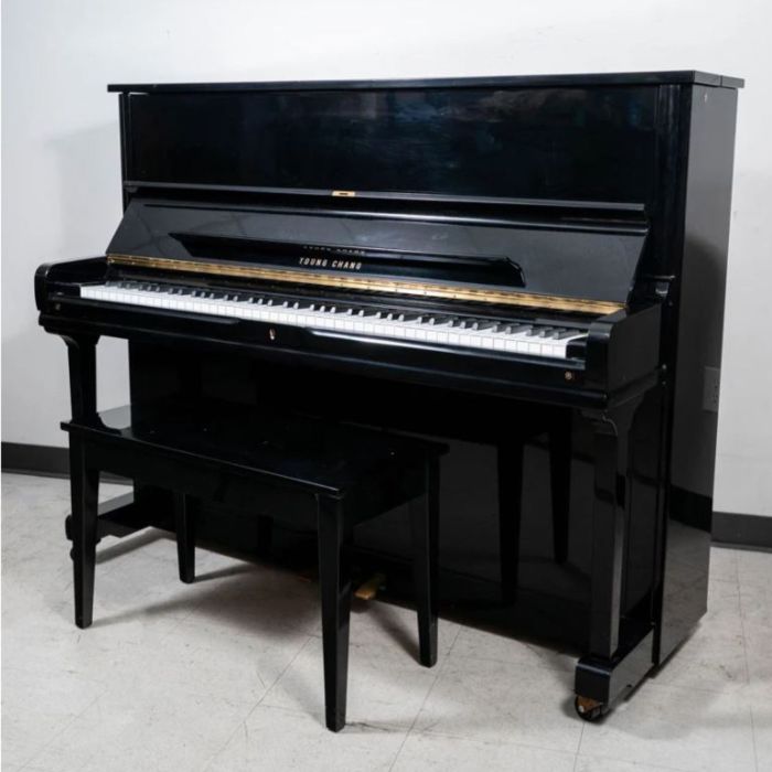 YOUNG CHANG U-121 M.1578681 USATO main product photo