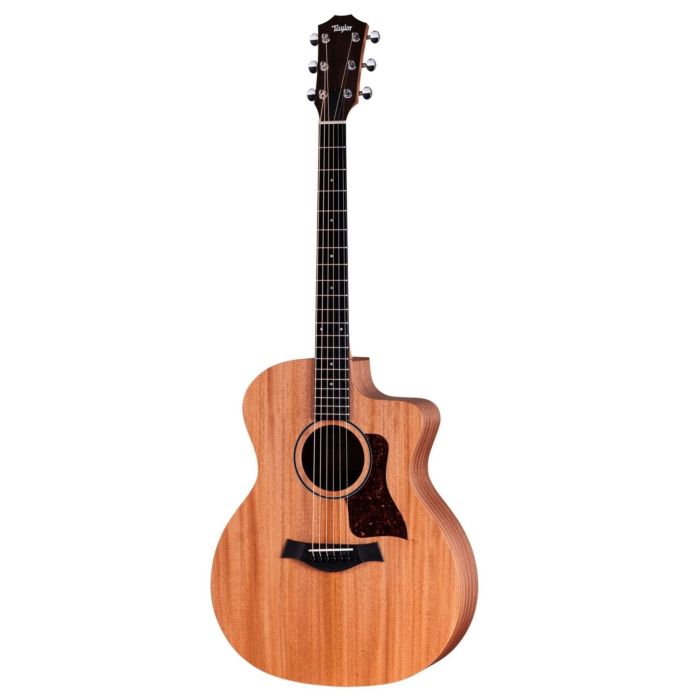 Taylor 24CE Mogano Neo-Tropical con custodia main product photo