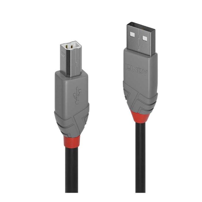 Cavo USB 2.0 A/B 5mt Lindy 36675 main product photo