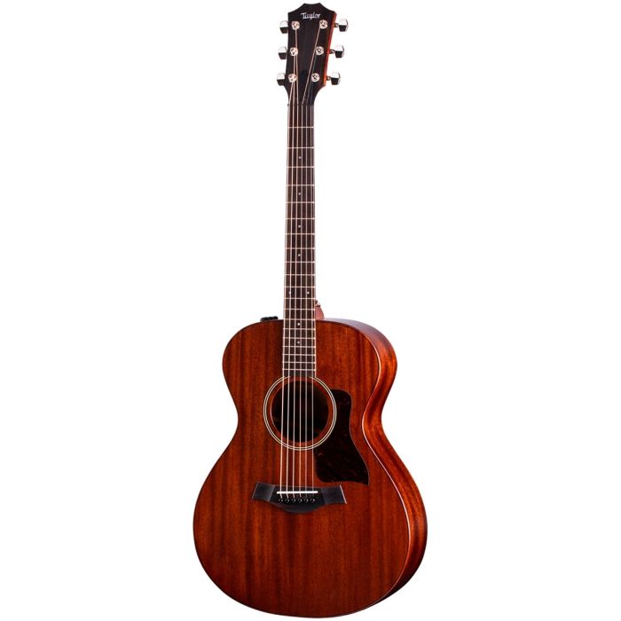 Taylor AD22E American Dream con custodia main product photo