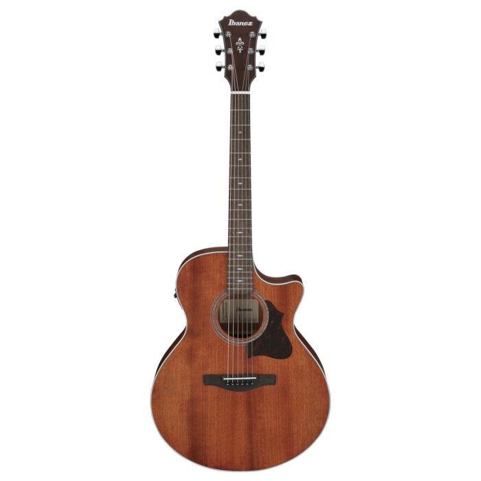 Ibanez AE140-OPN Open Pore Natural main product photo