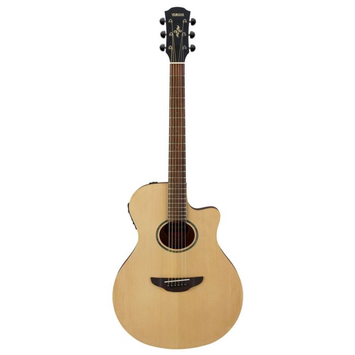 Yamaha APX 600M NS main product photo