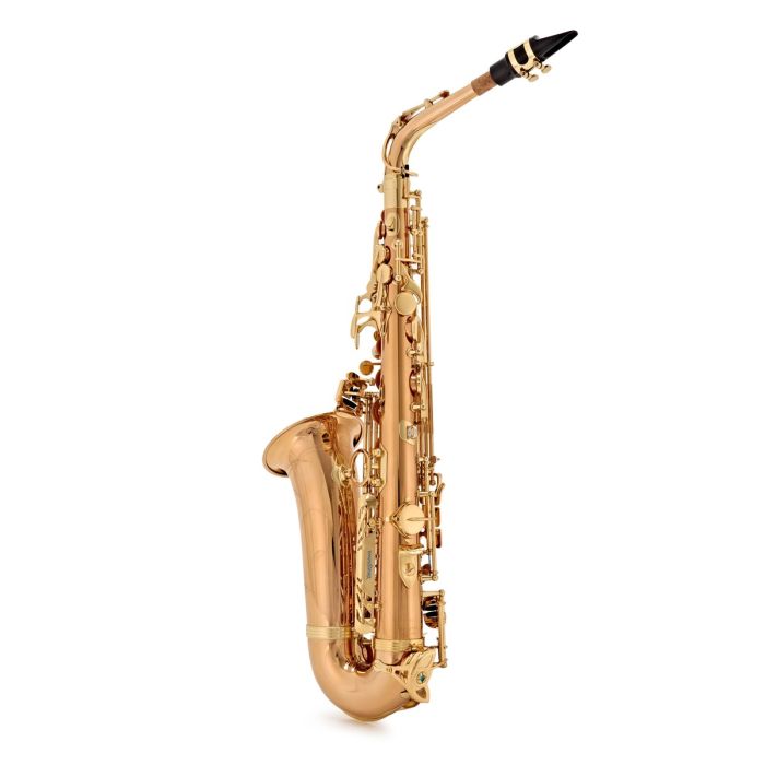 Yanagisawa A-WO2 Sax Alto Professional bronzo con custodia main product photo