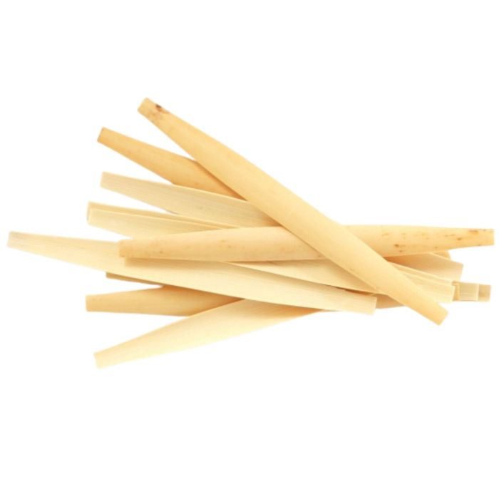 Berthelot Canna Oboe sgorbiata sagomata soft B24-F2 10pz main product photo