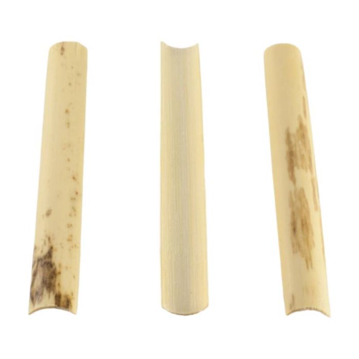 Canna Oboe Berthelot sgorbiata medium BF-3 10pz main product photo