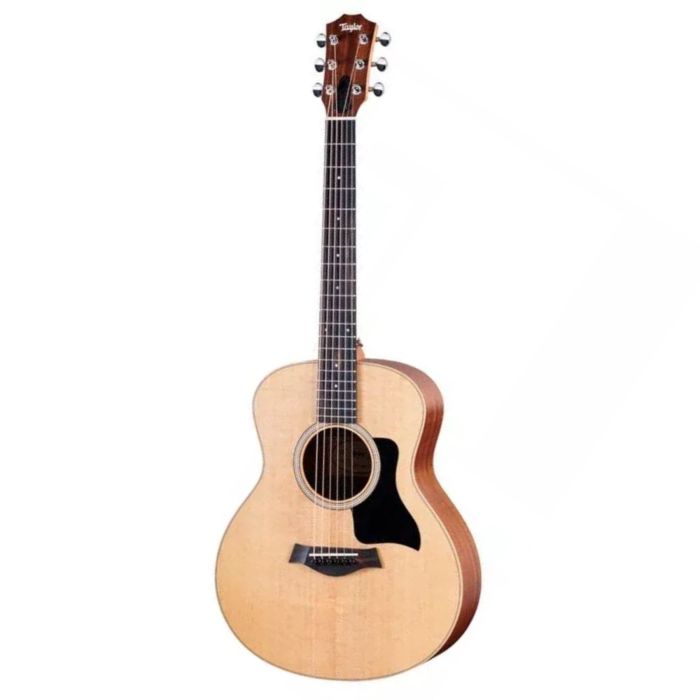 Taylor GS Mini Sapele Spruce main product photo