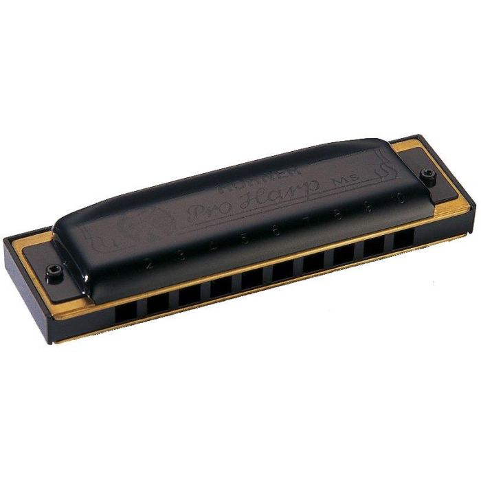 Armonica Hohner Pro Harp SI 562/20 B main product photo
