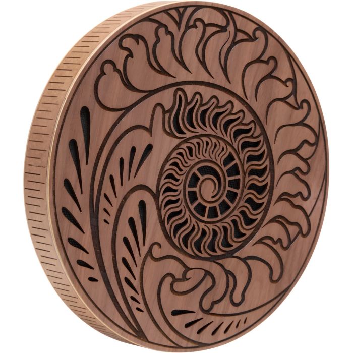 Meinl Sonic Energy RDO10F Rain Disk 10" main product photo