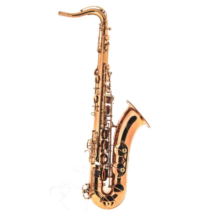 Sax Tenore Rampone & Cazzani Performance laccato con custodia main product photo