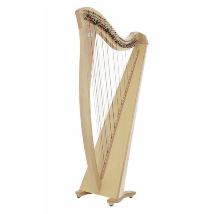 Salvi Gaia Acero Arpa 38 Corde main product photo