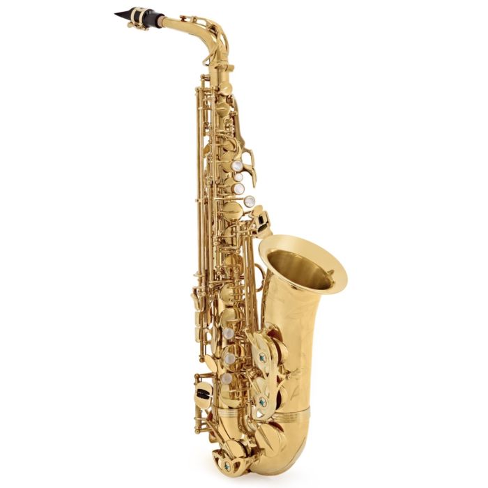 Sax Alto Yanagisawa AWO1 Professional laccato con custodia main product photo