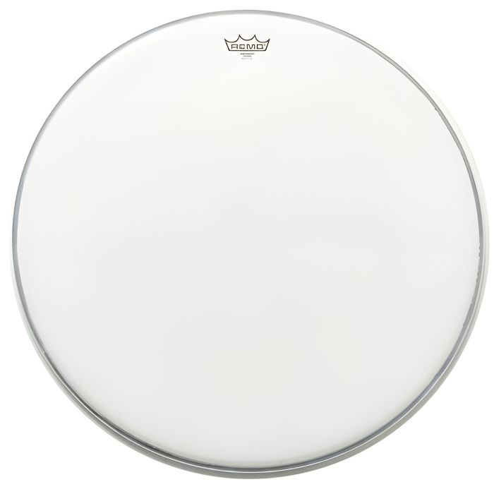 Pelle Remo 24" Hazy TI series opaca Timpano TI-2400-00 main product photo