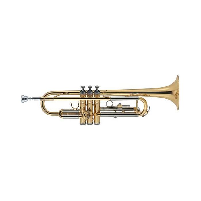 Tromba J.Michael sib laccata con astuccio TR200 main product photo