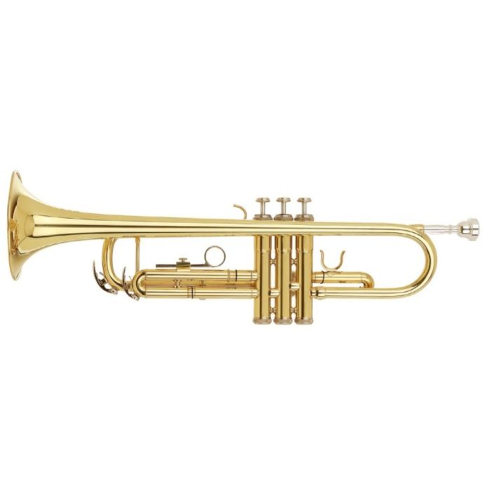 Tromba Amadeus TR600 sib laccata main product photo