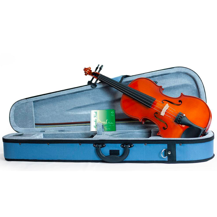 Violino 4/4 Domus Musica Rialto main product photo