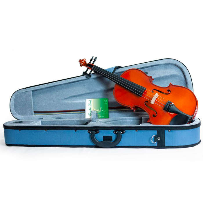 Violino 3/4 Domus Musica Rialto main product photo
