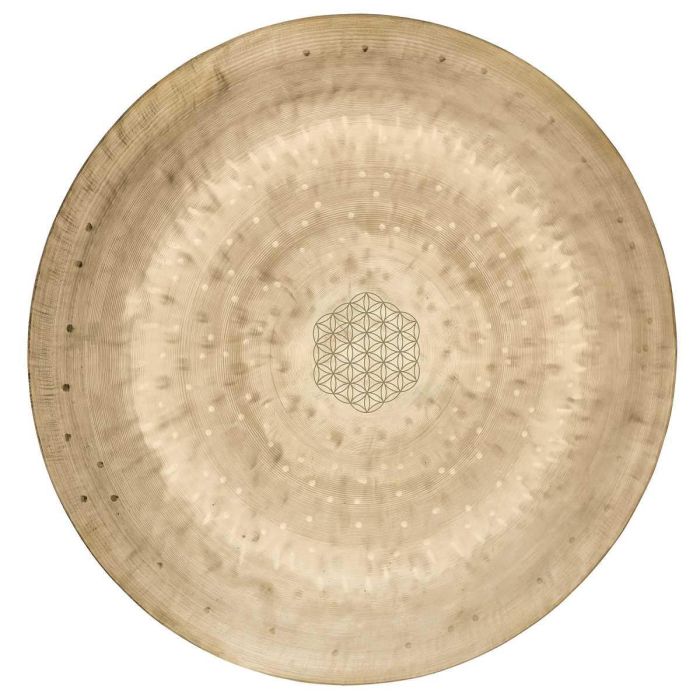 Meinl Sonic Energy Wind Gong 14" WGFOL14 main product photo