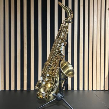 SAX C/ALTO SEQUOIA CON CUSTODIA USATO