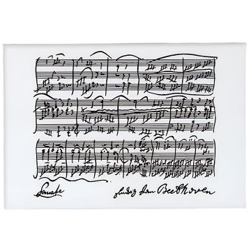 Calamita Vienna World Sonate Beethoven