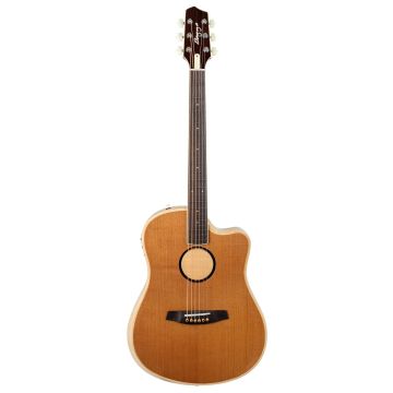 Chitarra acustica elettrica Baggs AEG-1 Torrefied