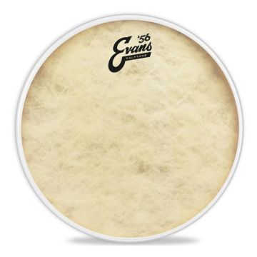 "Evans TT16C7 Calfotone pelle tom monostrato 16"" vintage" "Evans TT16C7 Calfotone pelle tom monostrato 16"" vintage"