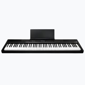 Echord EP-88 BK Piano Digitale