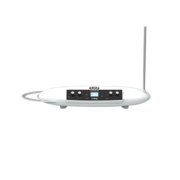 Theremin Moog Theremini Theremin Moog Theremini